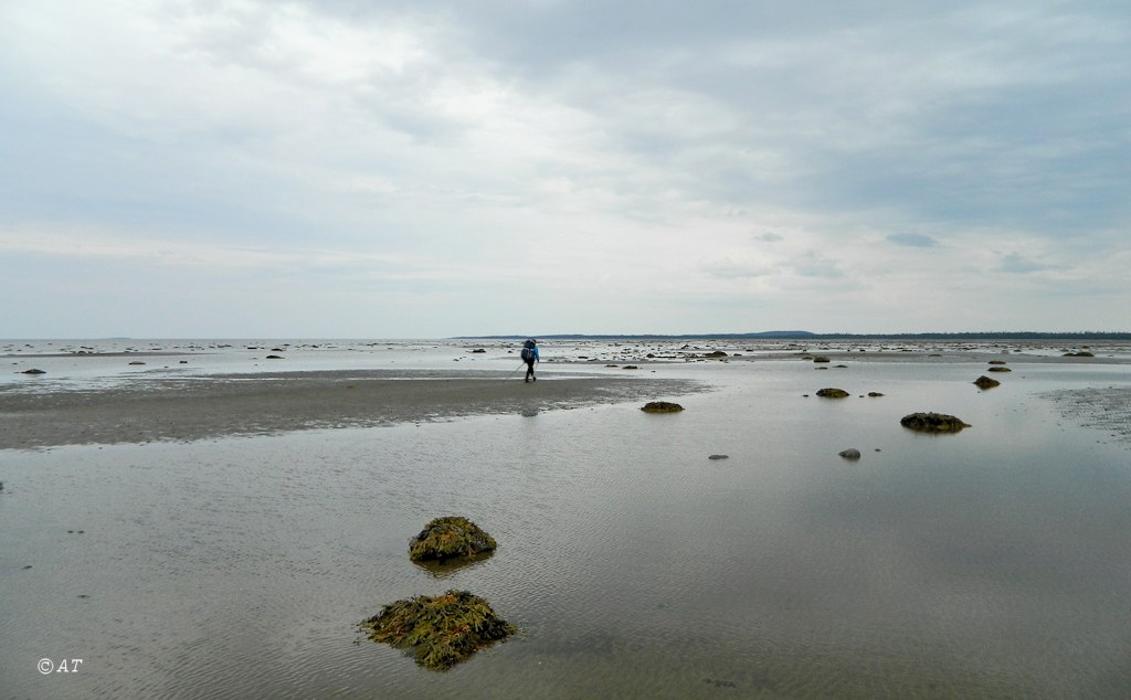 Унежма, image of landscape/habitat.