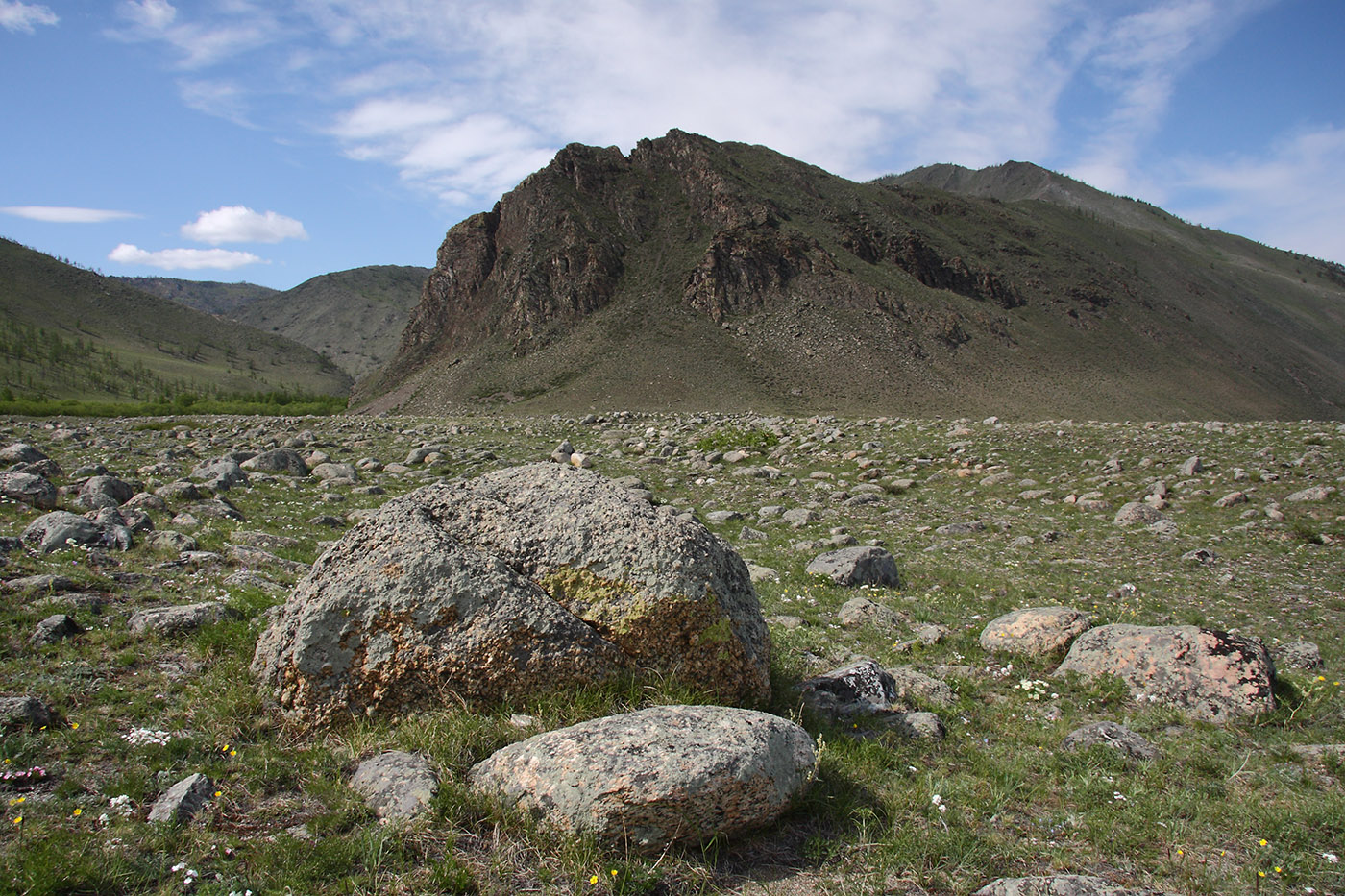 Окрестности Сармы, image of landscape/habitat.