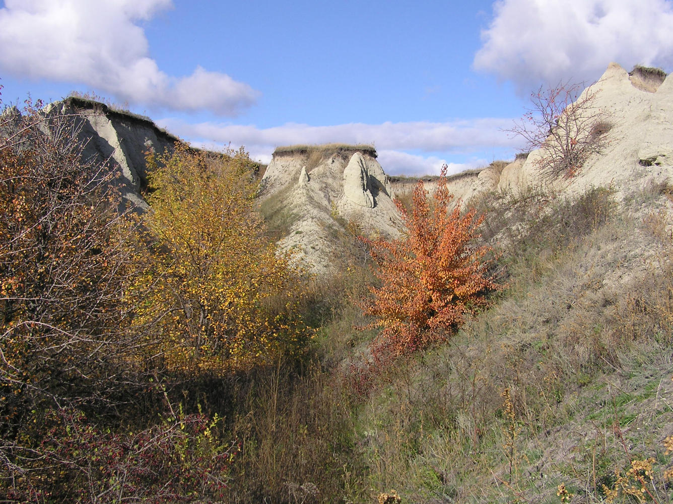 Буданова Гора, image of landscape/habitat.