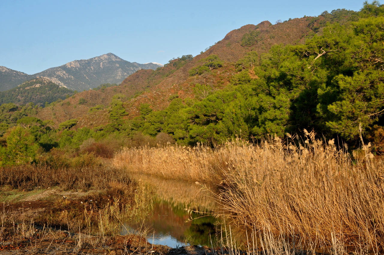 Бухта Чиралы и окрестности, image of landscape/habitat.