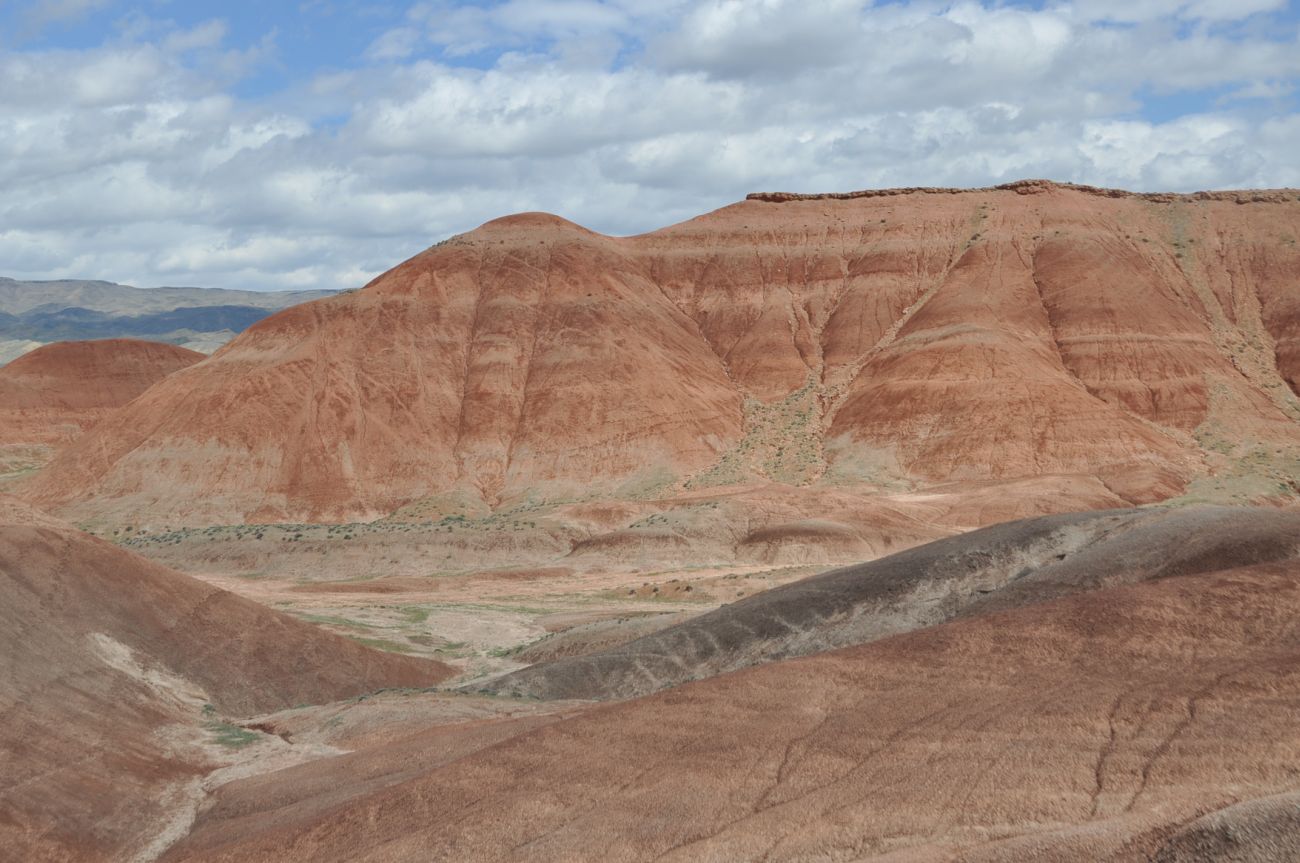 Урочище Красные горы, image of landscape/habitat.
