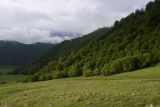 Image of landscape