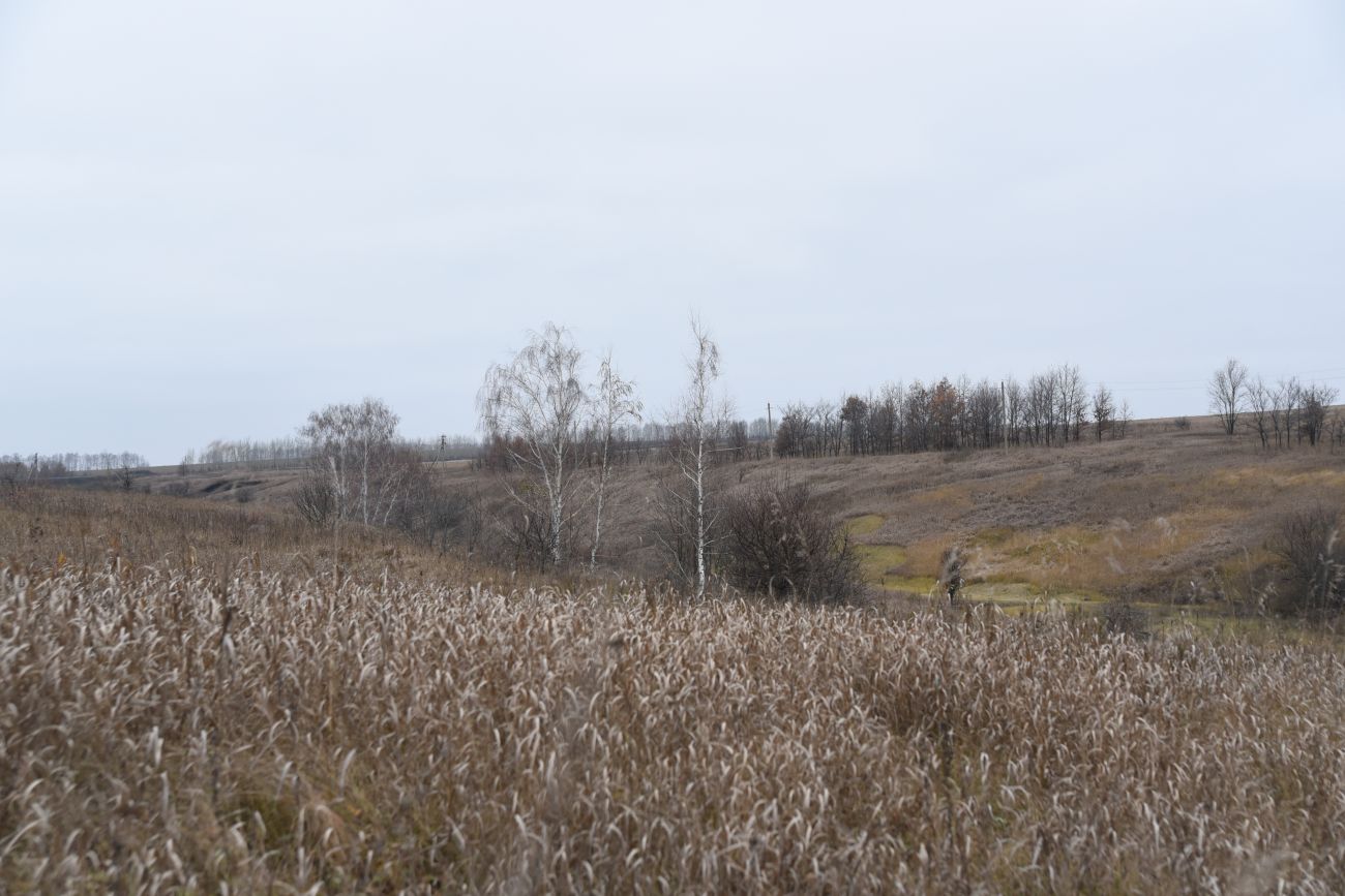 Церковная балка, image of landscape/habitat.