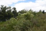 Image of landscape
