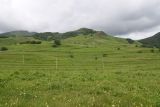 Image of landscape