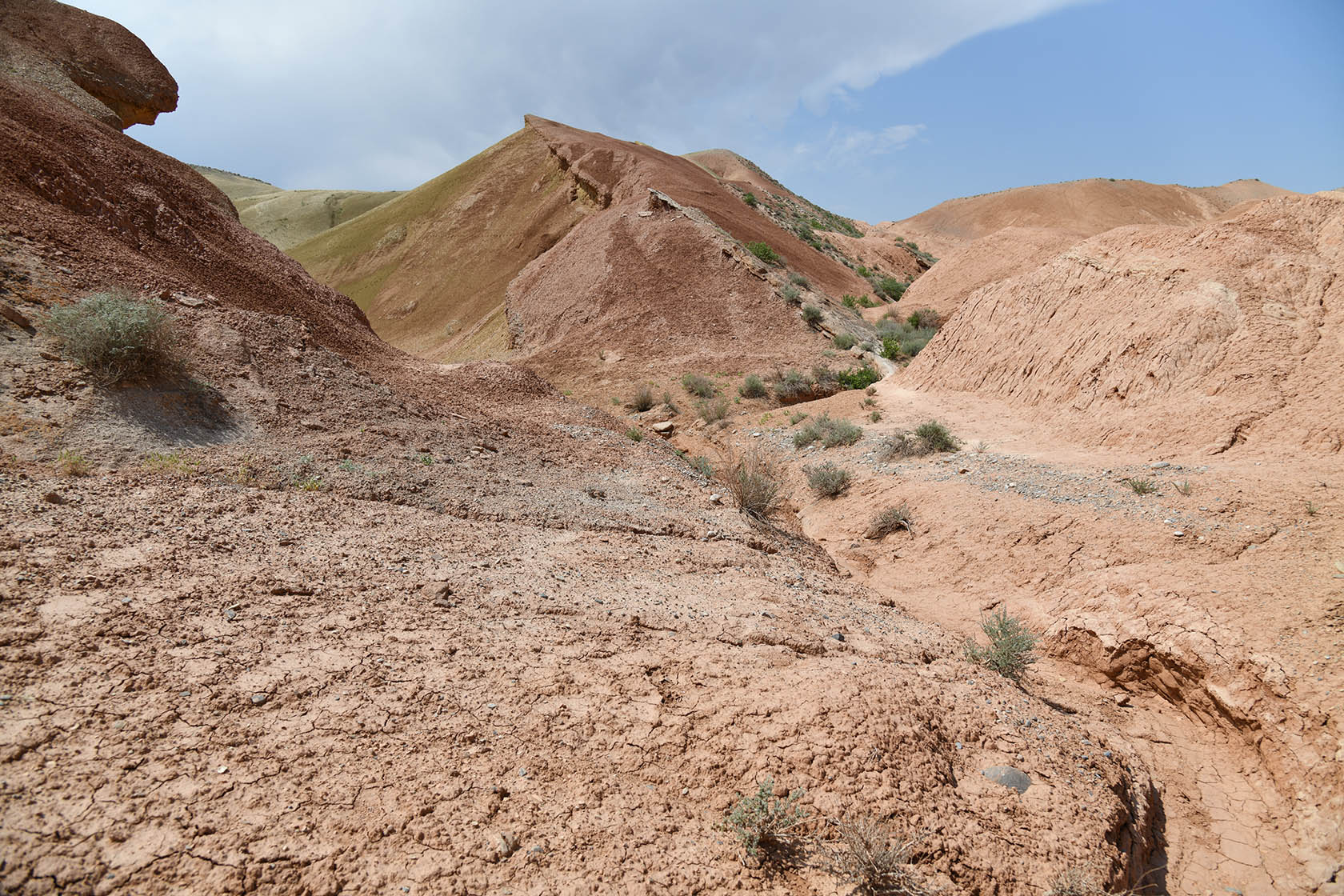 Исфара, image of landscape/habitat.