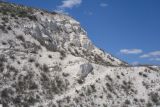 Image of landscape