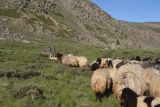 Кальдера Немрут, image of landscape/habitat.