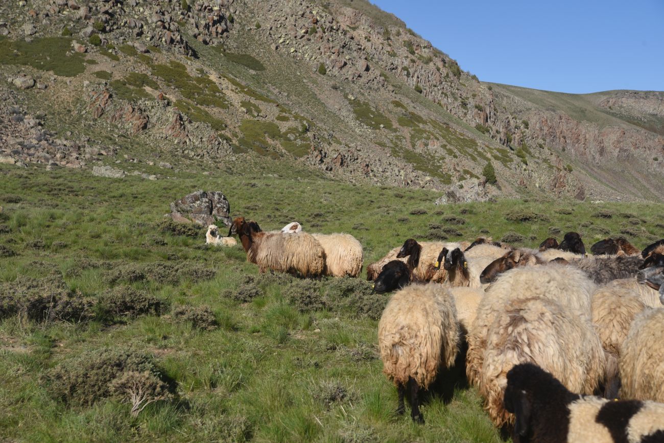 Кальдера Немрут, image of landscape/habitat.