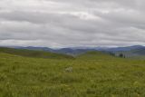 Image of landscape