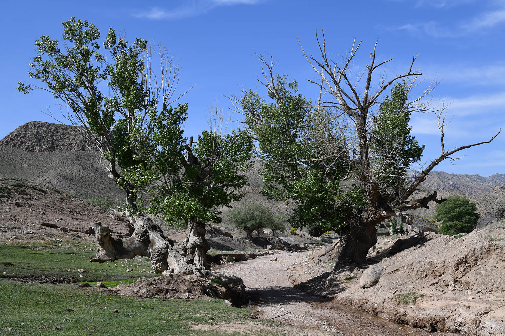 Мадыген, image of landscape/habitat.