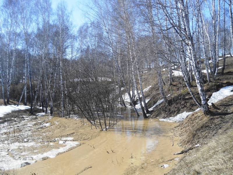 Дарвинская тропа, изображение ландшафта.