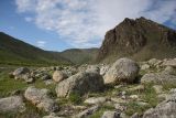 Окрестности Сармы, image of landscape/habitat.