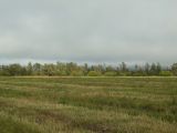 Image of landscape