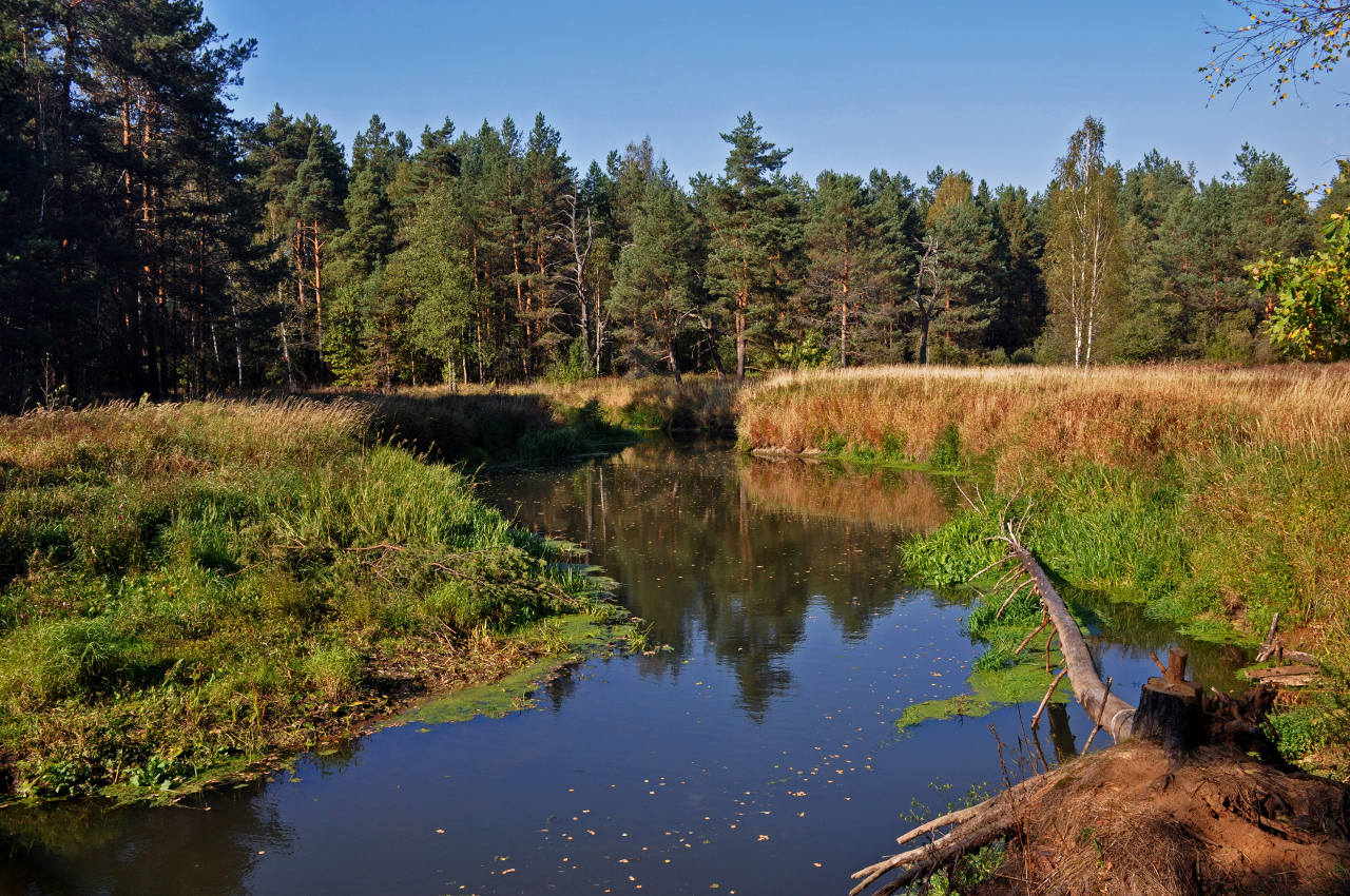 Долина реки Нерская, image of landscape/habitat.