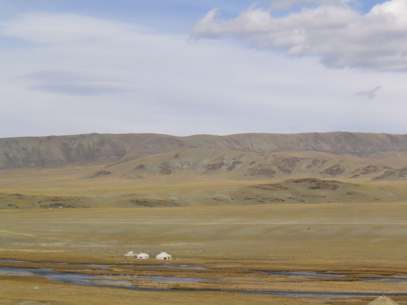 Долина Харгантын-Гол, image of landscape/habitat.