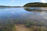 Село Охотское, image of landscape/habitat.