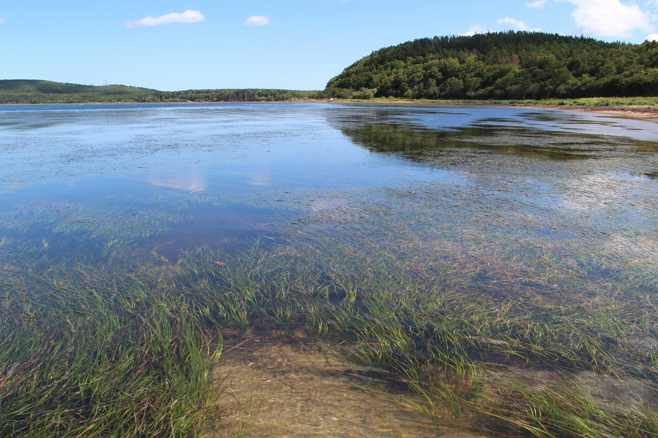 Село Охотское, изображение ландшафта.