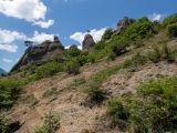 Image of landscape