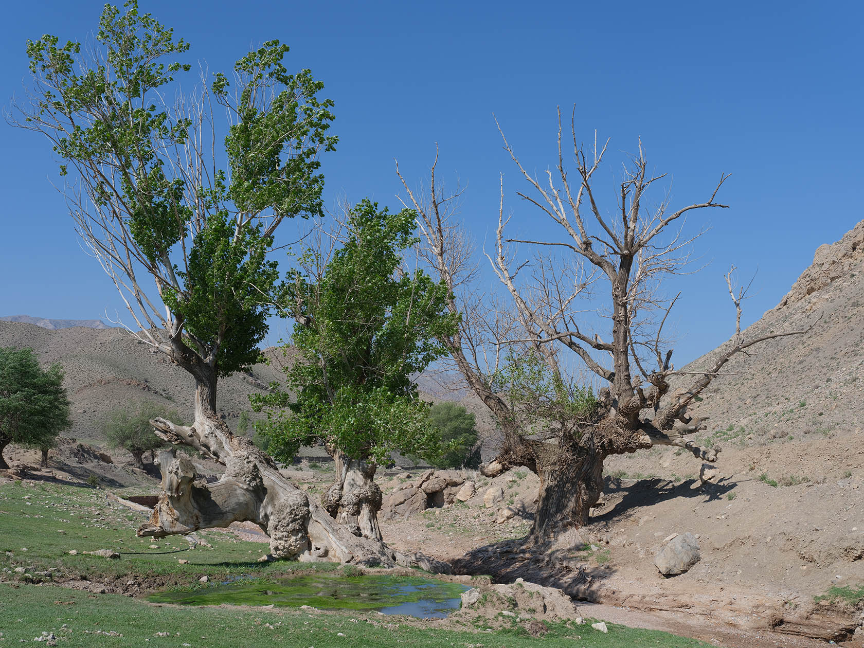 Мадыген, image of landscape/habitat.