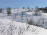 Горелая сопка, image of landscape/habitat.