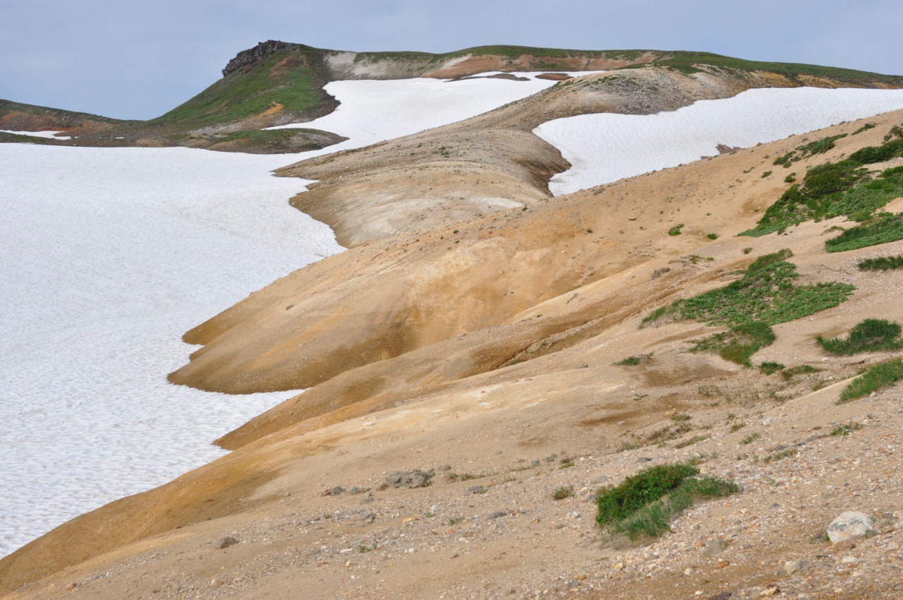 Вулкан Мутновский, image of landscape/habitat.