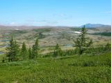 Image of landscape