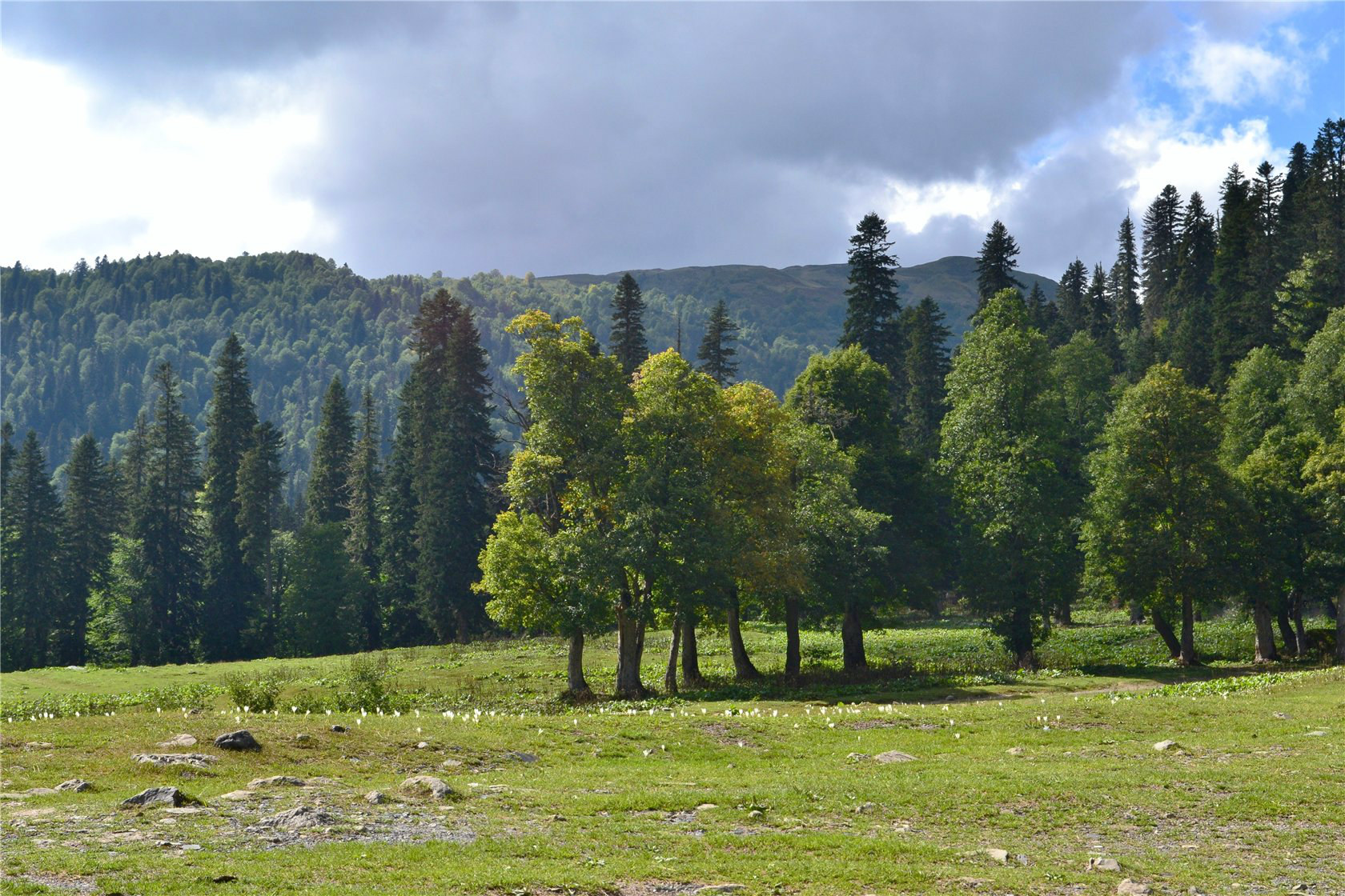 Авадхара (Ауадхара), изображение ландшафта.