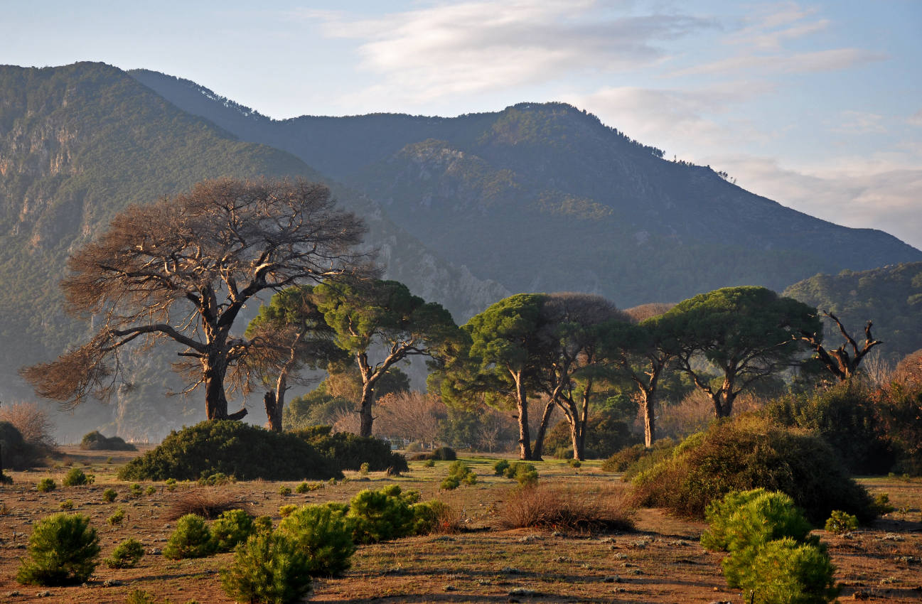 Бухта Чиралы и окрестности, image of landscape/habitat.