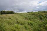 Image of landscape