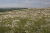 Image of landscape