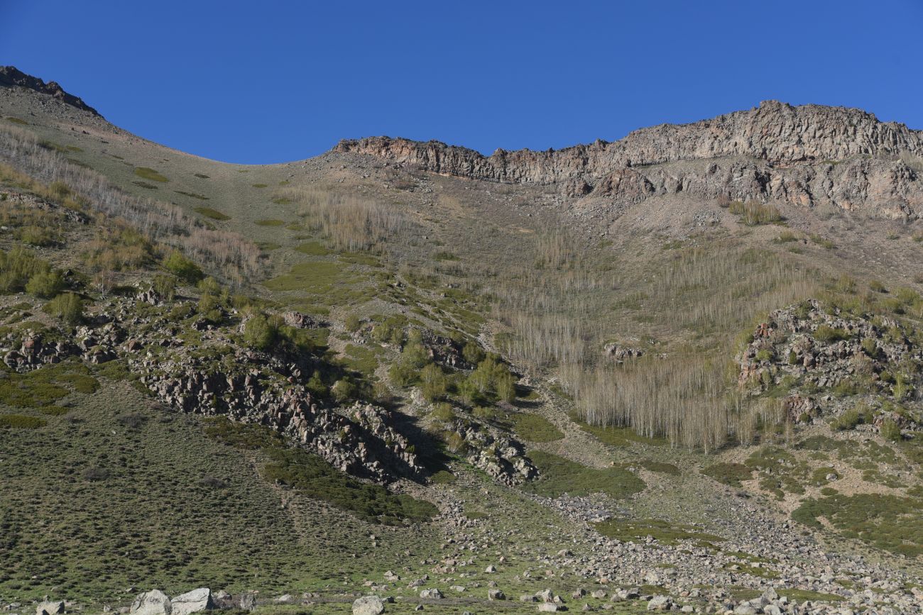 Кальдера Немрут, image of landscape/habitat.