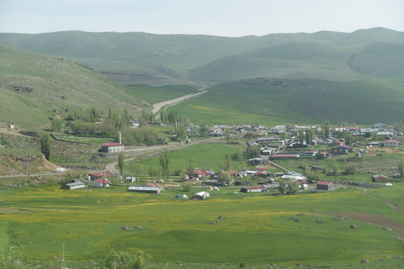 Сарыбулак, image of landscape/habitat.