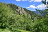 Image of landscape