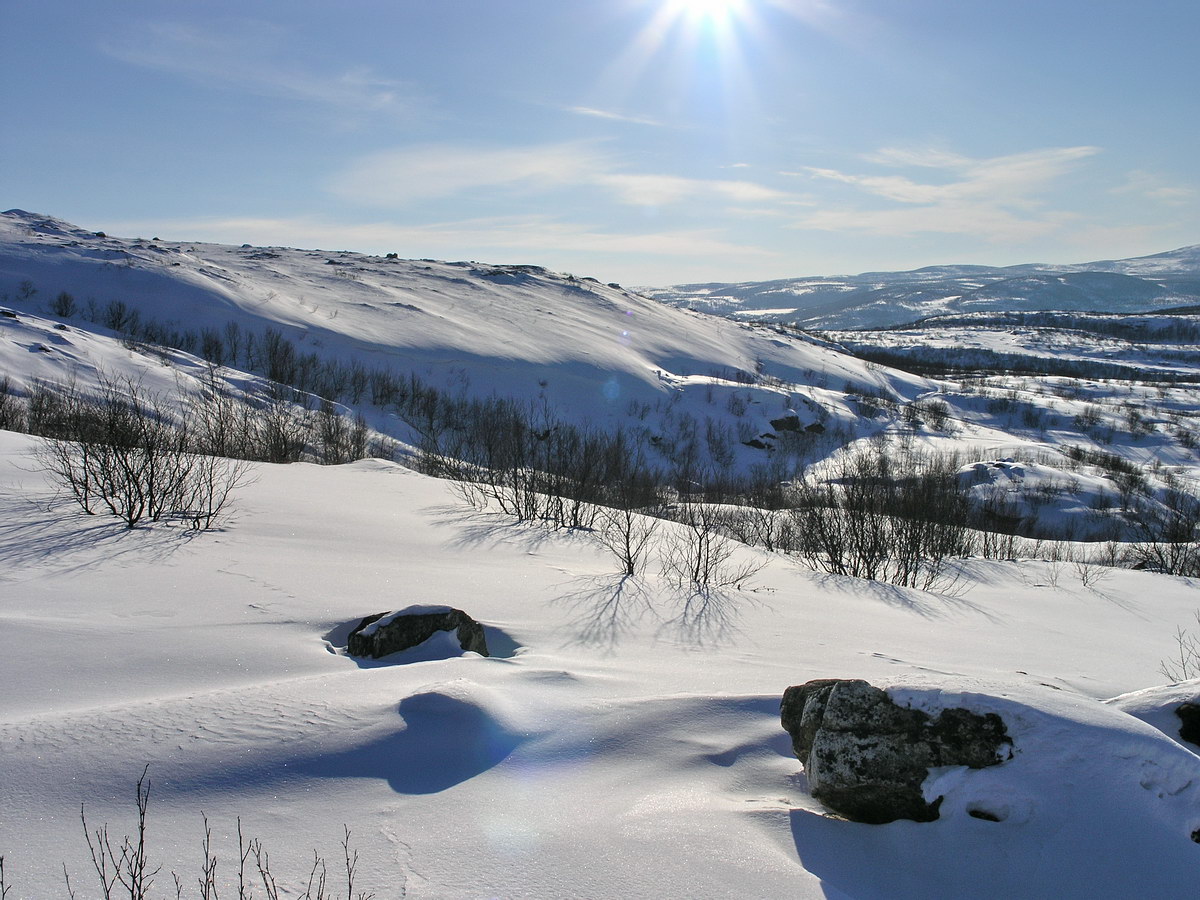 Горелая сопка, image of landscape/habitat.