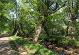 Image of landscape