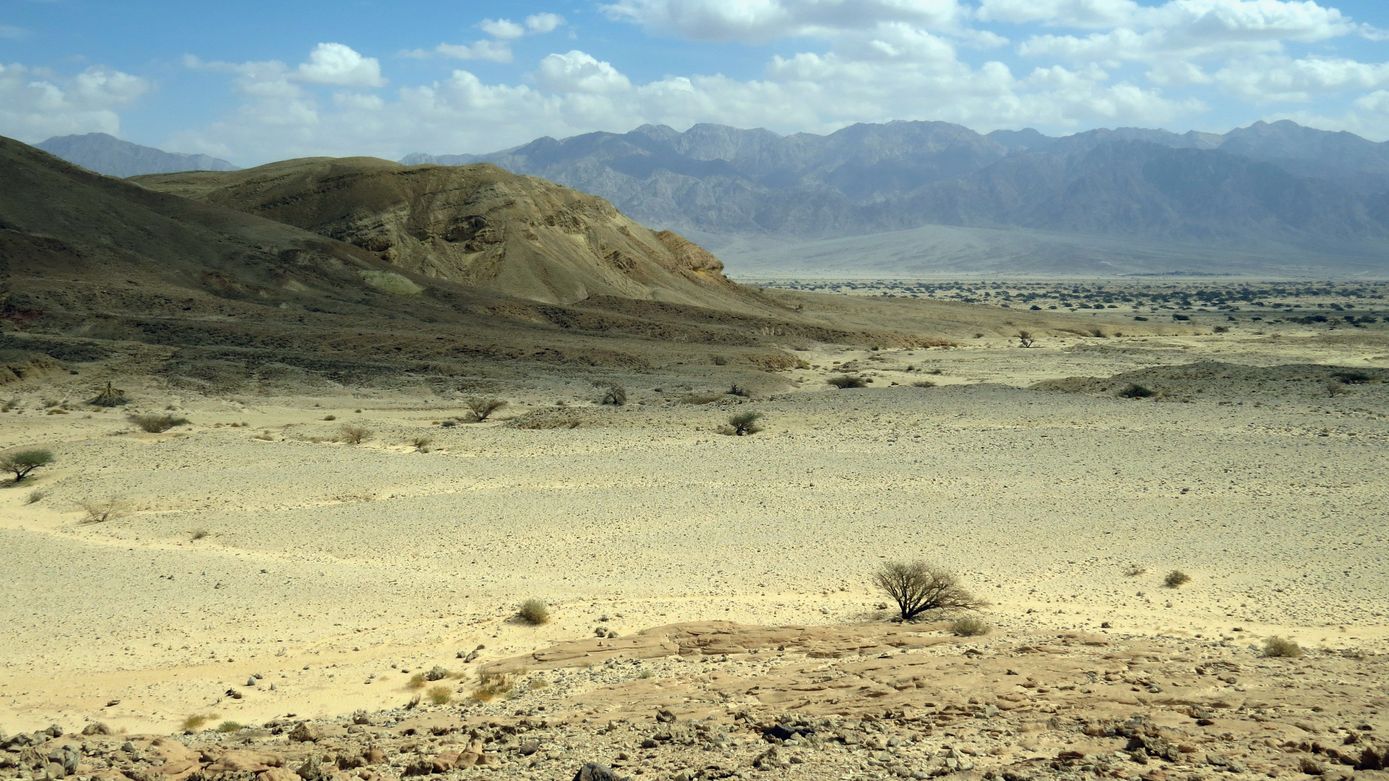 Эмек Арава, image of landscape/habitat.