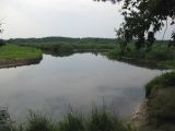 Комарово, песчаная гора, изображение ландшафта.