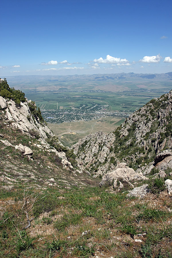 Горы Алатау, image of landscape/habitat.