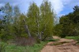 Ай-Петри, image of landscape/habitat.