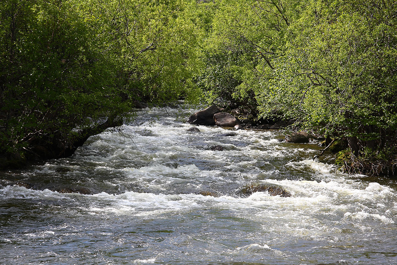 Окрестности Сармы, image of landscape/habitat.