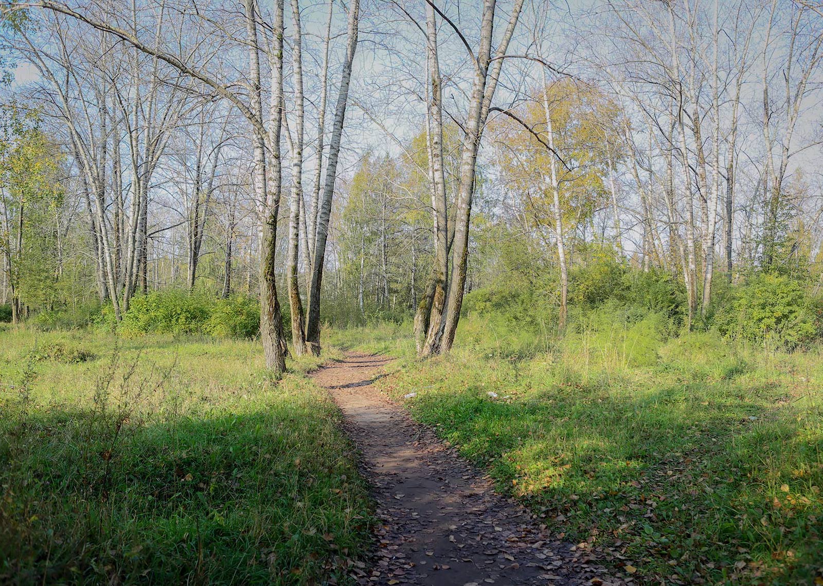 Закамск, image of landscape/habitat.