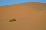 Image of landscape