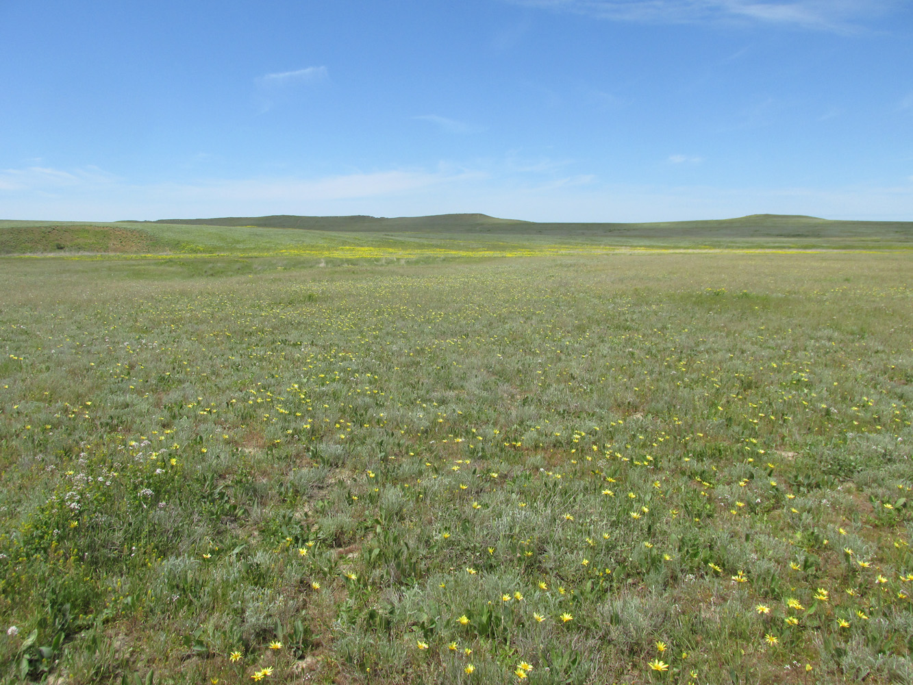 Караларская степь, image of landscape/habitat.