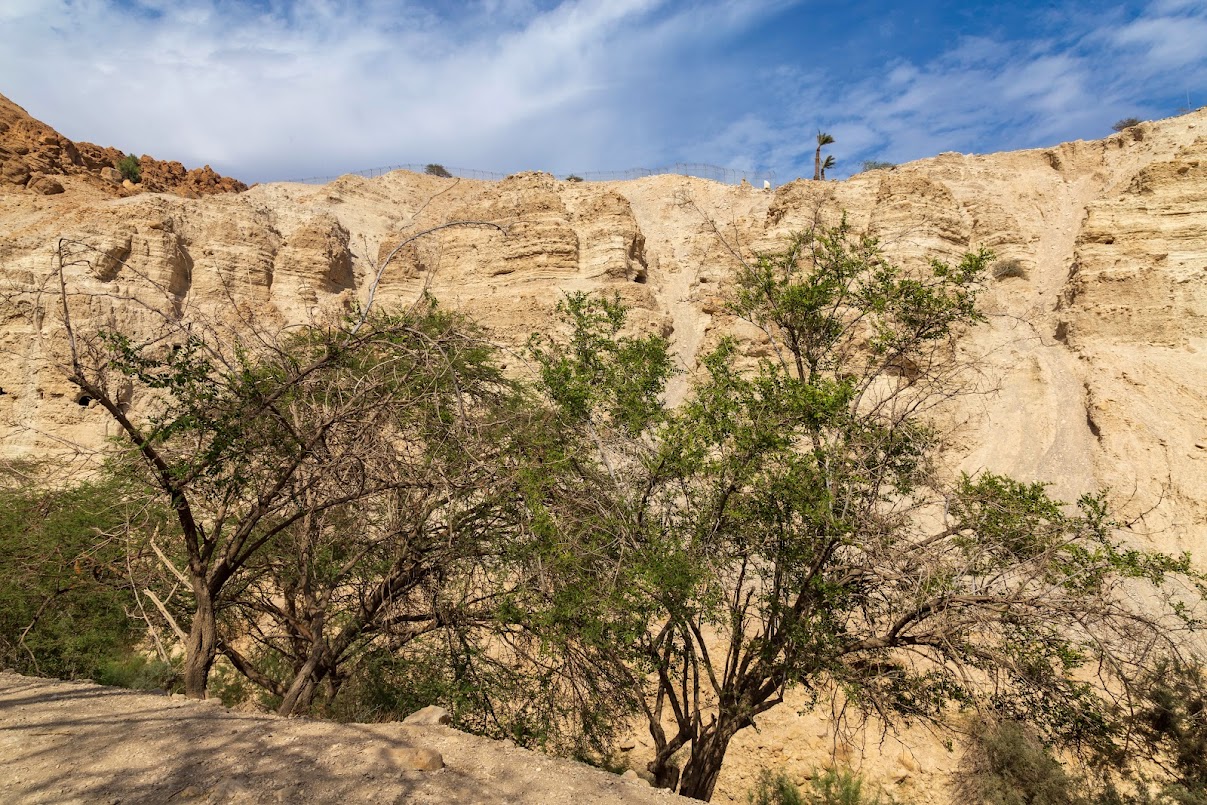 Эйн-Геди, image of landscape/habitat.