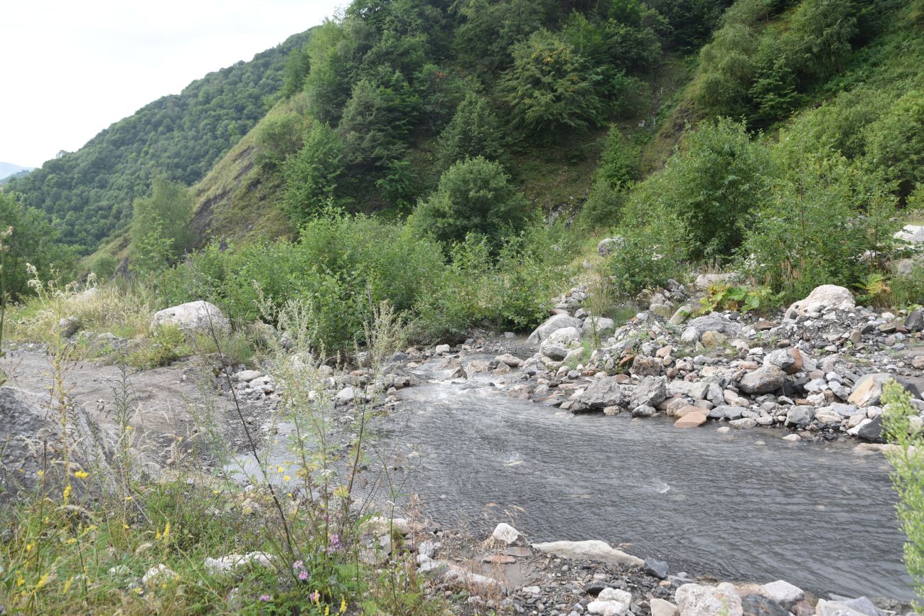 Окрестности водопада Цеси, image of landscape/habitat.