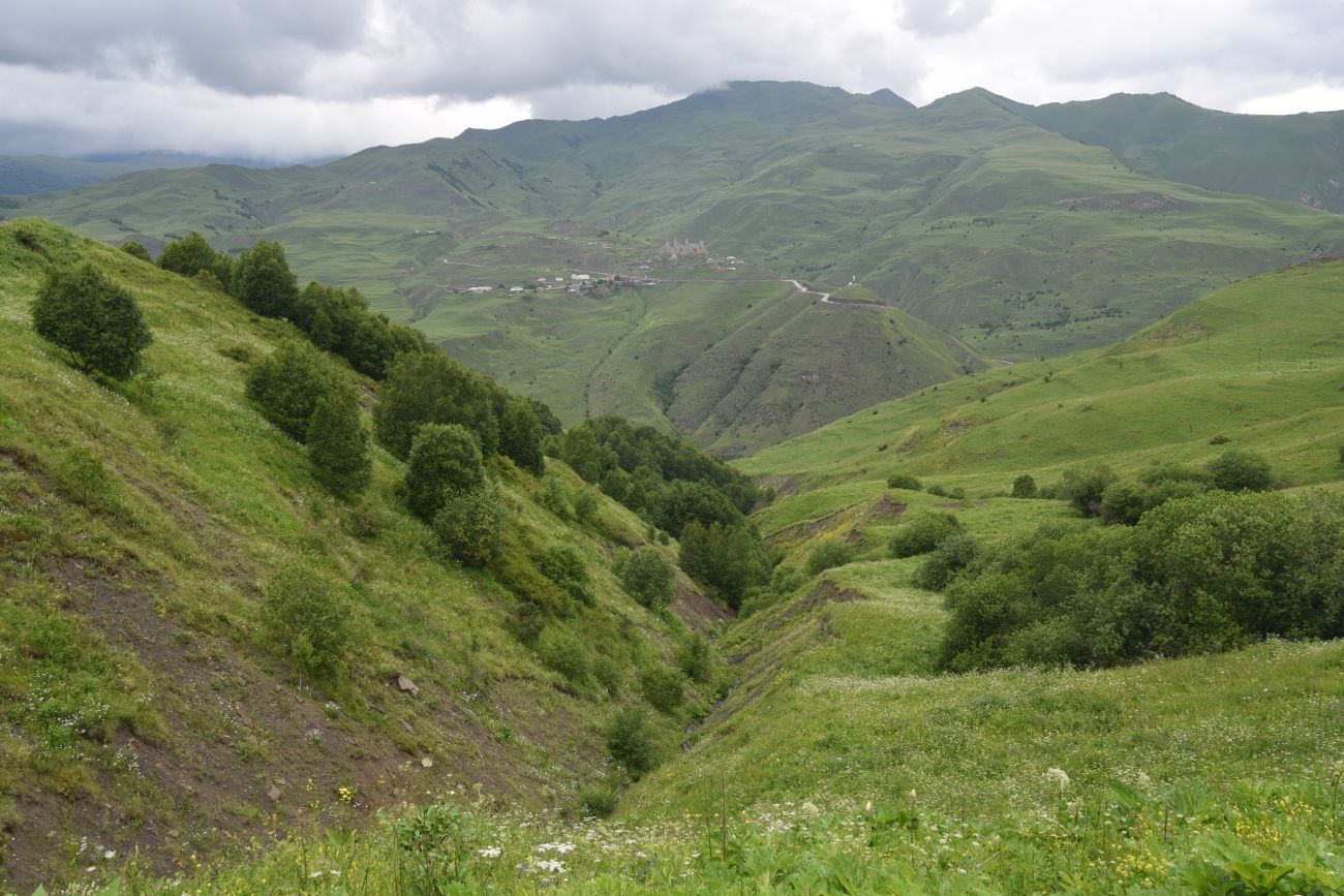 Мальчхиче, image of landscape/habitat.
