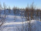 Image of landscape