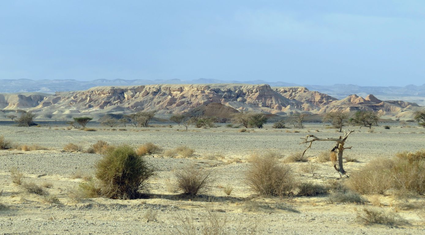 Эмек Арава, image of landscape/habitat.