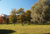 Image of landscape